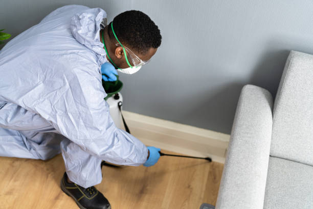 Best Fumigation Services  in Forest City, IA